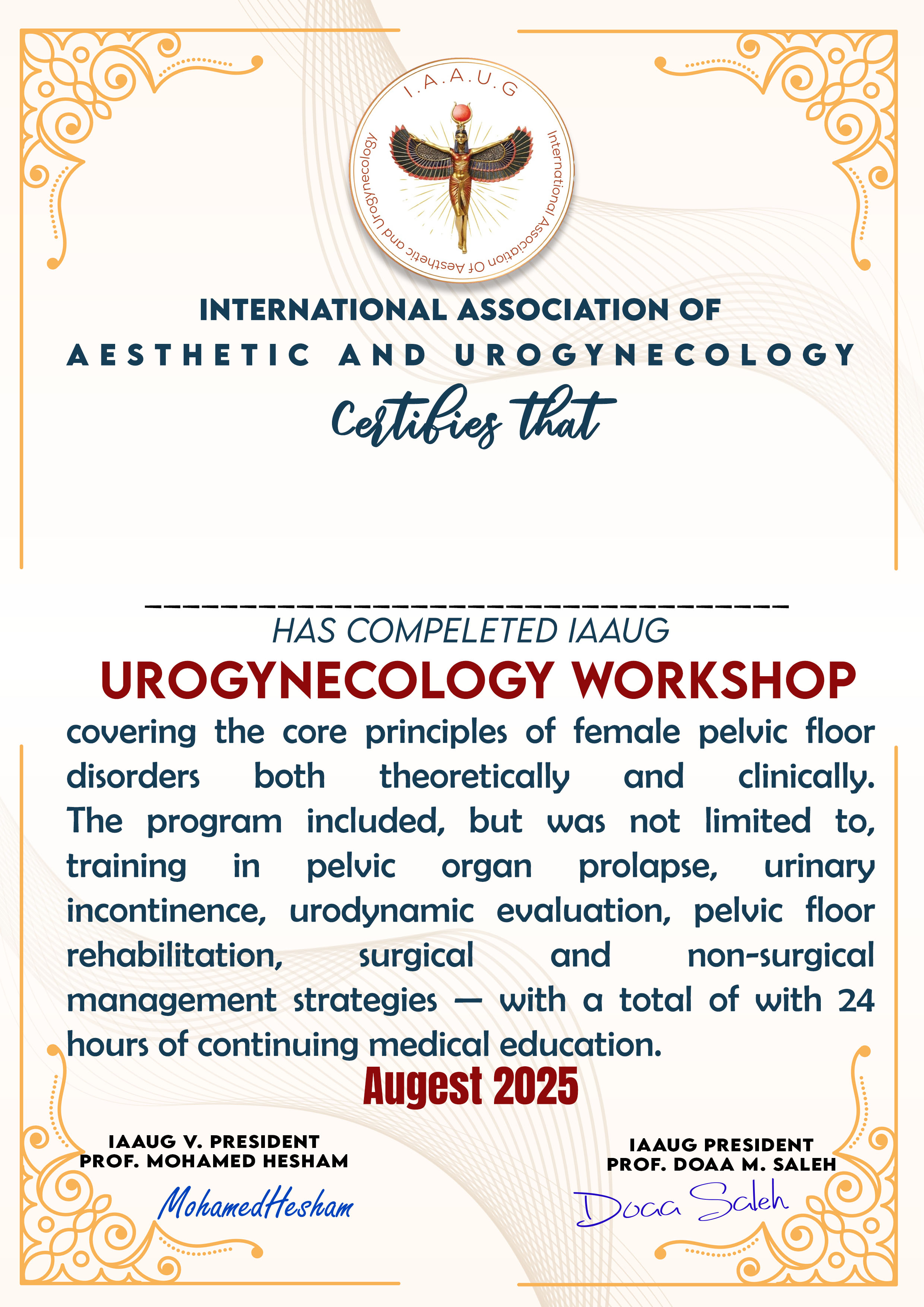 urogynecology 8