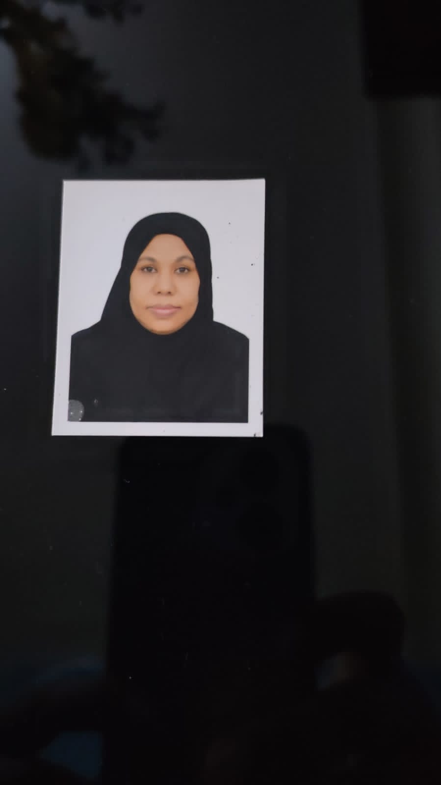 Thana Mohamed Ahmed Bashir Goda